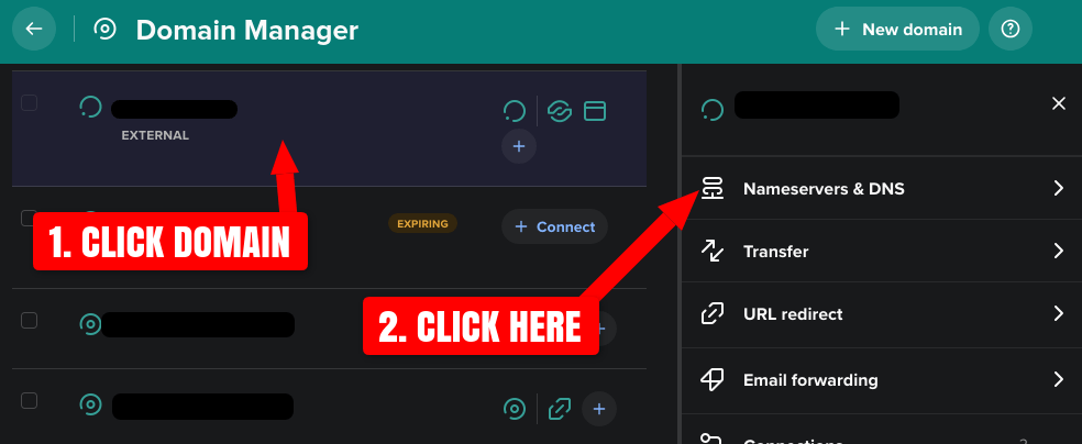 Screenshot of Spaceship.com SellerHub domain manager Nameservers and DNS