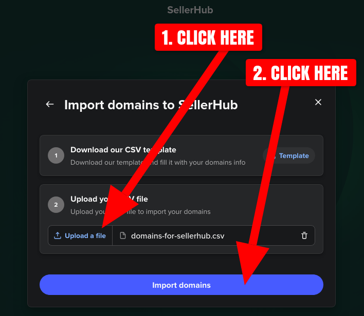 Screenshot of uploading a domain name CSV file to SellerHub on Spaceship.com