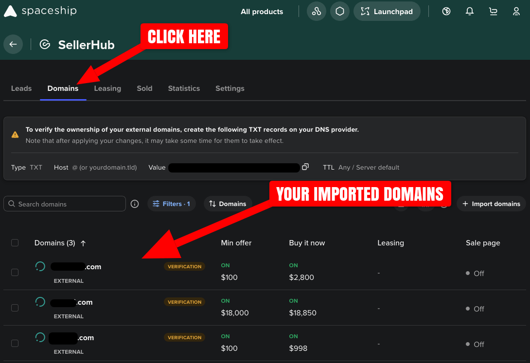 Screenshot of domain names imported into SellerHub on Spaceship.com