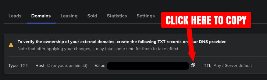 Screenshot of Spaceship SellerHub verification value for TXT DNS record