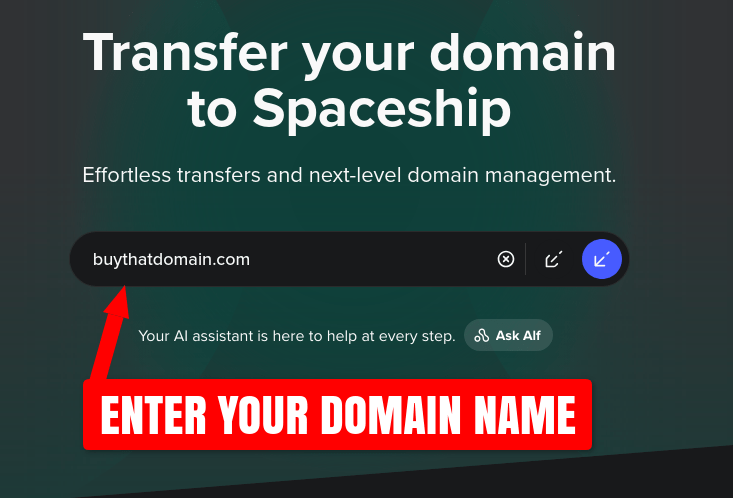 Spaceship.com transfer domain in page screenshot