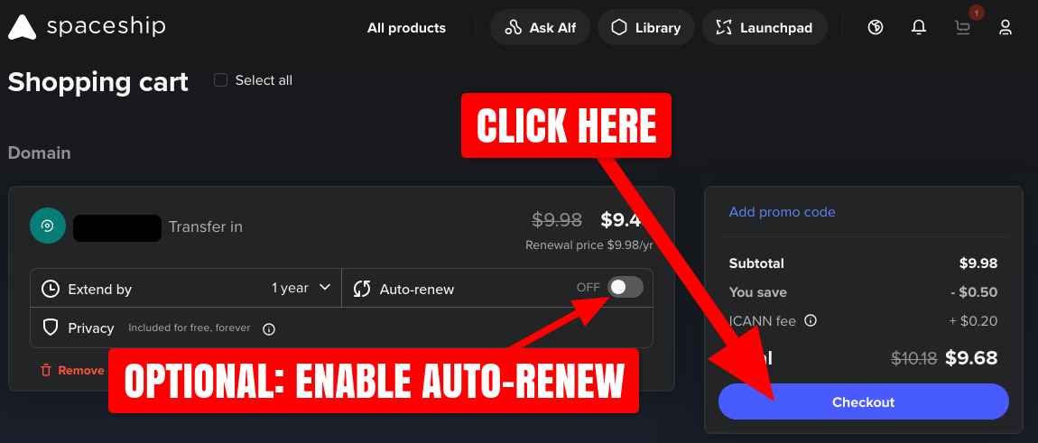 Spaceship transfer domain name checkout screenshot