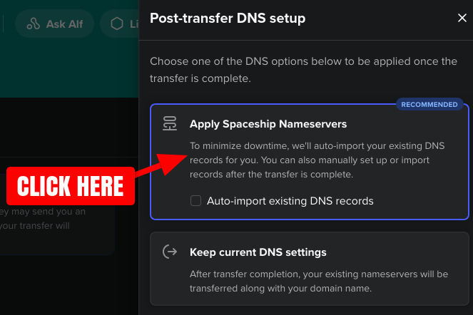 Spaceship transfer manager page nameserver change screenshot